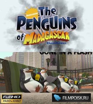 Пингвины Мадагаскара: Пропавший в вспышке / The Penguins Of Madagascar (2008)